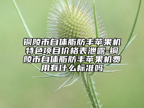 銅陵市自體脂肪豐蘋果機(jī)特色項(xiàng)目價(jià)格表泄露-銅陵市自體脂肪豐蘋果機(jī)費(fèi)用有什么標(biāo)準(zhǔn)嗎