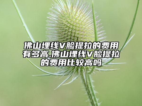 佛山埋線V臉提拉的費用有多高,佛山埋線V臉提拉的費用比較高嗎