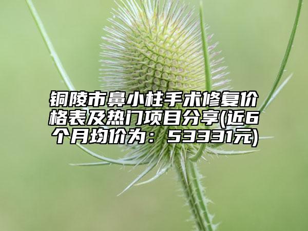 銅陵市鼻小柱手術(shù)修復(fù)價格表及熱門項(xiàng)目分享(近6個月均價為：53331元)