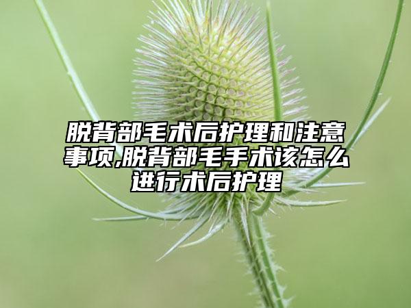 脫背部毛術(shù)后護(hù)理和注意事項,脫背部毛手術(shù)該怎么進(jìn)行術(shù)后護(hù)理