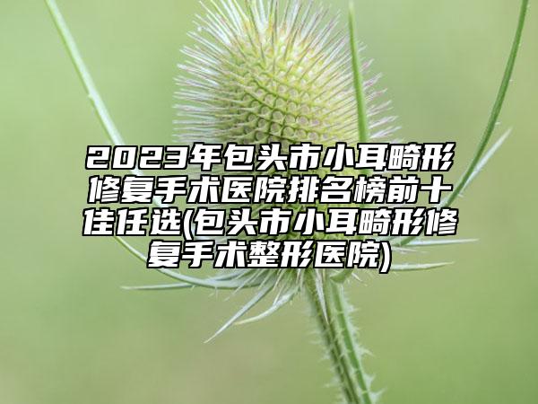 2023年包頭市小耳畸形修復(fù)手術(shù)醫(yī)院排名榜前十佳任選(包頭市小耳畸形修復(fù)手術(shù)整形醫(yī)院)