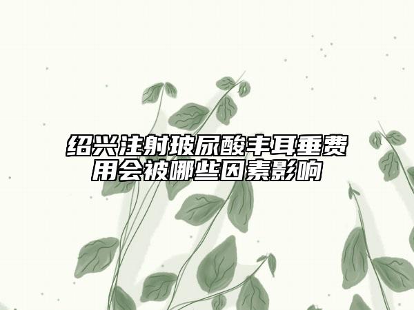 紹興注射玻尿酸豐耳垂費用會被哪些因素影響