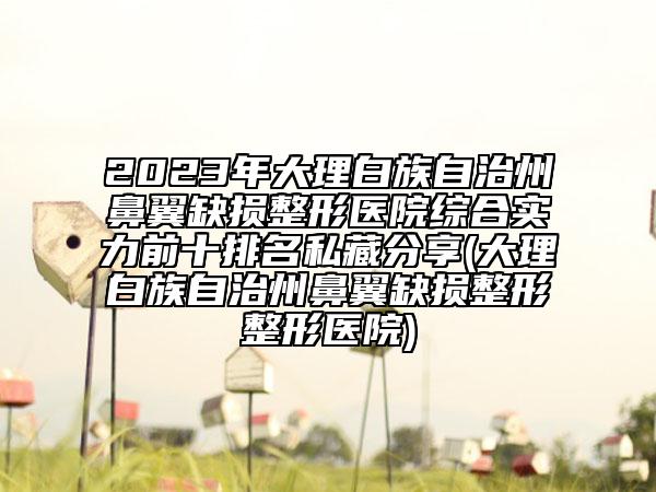 2023年大理白族自治州鼻翼缺損整形醫(yī)院綜合實(shí)力前十排名私藏分享(大理白族自治州鼻翼缺損整形整形醫(yī)院)