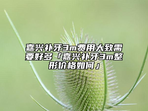 嘉興補牙3m費用大致需要好多「嘉興補牙3m整形價格如何」
