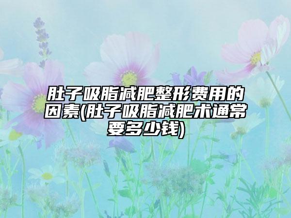 肚子吸脂減肥整形費(fèi)用的因素(肚子吸脂減肥術(shù)通常要多少錢)