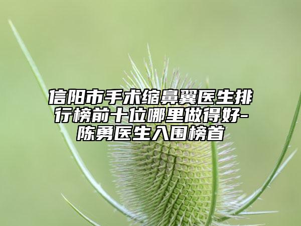 信陽(yáng)市手術(shù)縮鼻翼醫(yī)生排行榜前十位哪里做得好-陳勇醫(yī)生入圍榜首