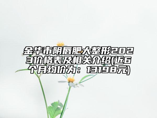 金華市陰唇肥大整形2023價格表及相關介紹(近6個月均價為：13198元)
