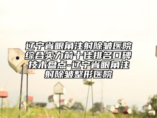 遼寧省眼角注射除皺醫(yī)院綜合實力前十佳排名口碑技術(shù)盤點-遼寧省眼角注射除皺整形醫(yī)院