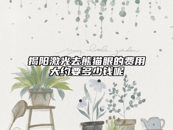 揭陽(yáng)激光去熊貓眼的費(fèi)用大約要多少錢呢