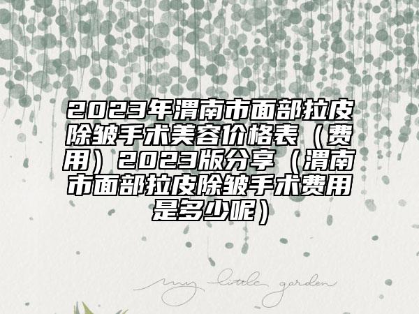 2023年渭南市面部拉皮除皺手術(shù)美容價格表（費(fèi)用）2023版分享（渭南市面部拉皮除皺手術(shù)費(fèi)用是多少呢）