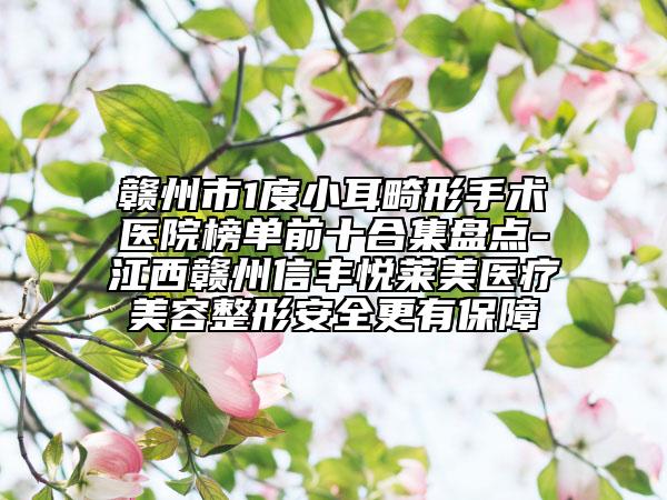 贛州市1度小耳畸形手術(shù)醫(yī)院榜單前十合集盤點-江西贛州信豐悅?cè)R美醫(yī)療美容整形安全更有保障