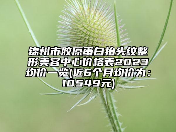 錦州市膠原蛋白抬頭紋整形美容中心價格表2023均價一覽(近6個月均價為：10549元)