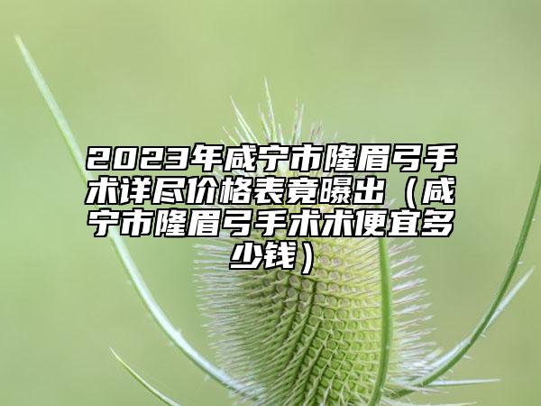 2023年咸寧市隆眉弓手術(shù)詳盡價格表竟曝出（咸寧市隆眉弓手術(shù)術(shù)便宜多少錢）