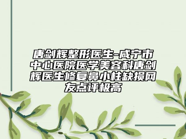 唐劍輝整形醫(yī)生-咸寧市中心醫(yī)院醫(yī)學(xué)美容科唐劍輝醫(yī)生修復(fù)鼻小柱缺損網(wǎng)友點(diǎn)評(píng)極高