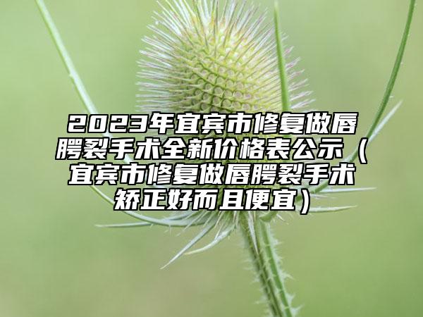 2023年宜賓市修復(fù)做唇腭裂手術(shù)全新價格表公示（宜賓市修復(fù)做唇腭裂手術(shù)矯正好而且便宜）
