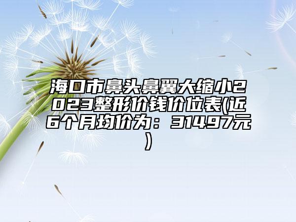 ?？谑斜穷^鼻翼大縮小2023整形價錢價位表(近6個月均價為：31497元)