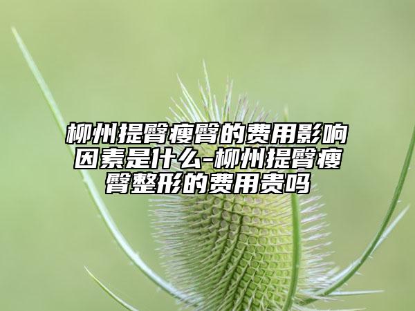 柳州提臀瘦臀的費用影響因素是什么-柳州提臀瘦臀整形的費用貴嗎
