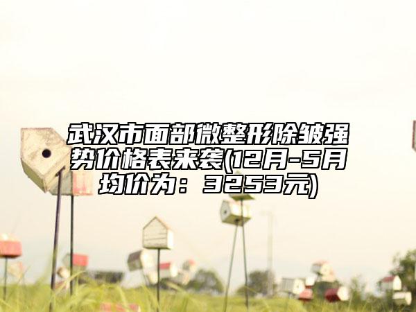 武漢市面部微整形除皺強(qiáng)勢(shì)價(jià)格表來(lái)襲(12月-5月均價(jià)為：3253元)