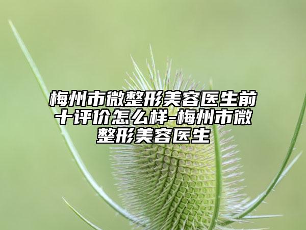 梅州市微整形美容醫(yī)生前十評價怎么樣-梅州市微整形美容醫(yī)生