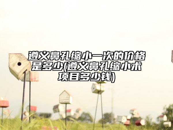 遵義鼻孔縮小一次的價(jià)格是多少(遵義鼻孔縮小術(shù)項(xiàng)目多少錢(qián))