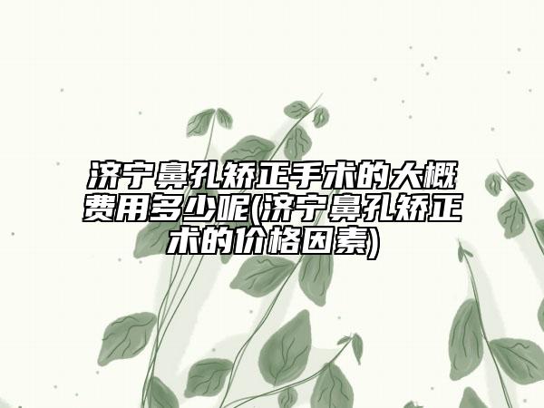 濟(jì)寧鼻孔矯正手術(shù)的大概費用多少呢(濟(jì)寧鼻孔矯正術(shù)的價格因素)