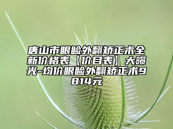 唐山市眼瞼外翻矯正術(shù)全新價(jià)格表【價(jià)目表】大曝光-均價(jià)眼瞼外翻矯正術(shù)9814元