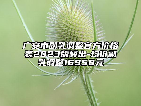 廣安市副乳調整官方價格表2023版釋出-均價副乳調整16958元