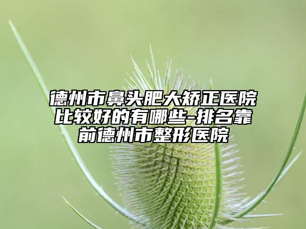 德州市鼻頭肥大矯正醫(yī)院比較好的有哪些-排名靠前德州市整形醫(yī)院