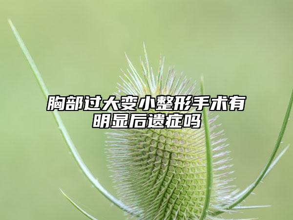 胸部過(guò)大變小整形手術(shù)有明顯后遺癥嗎