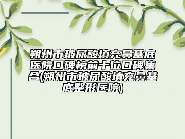 朔州市玻尿酸填充鼻基底醫(yī)院口碑榜前十位口碑集合(朔州市玻尿酸填充鼻基底整形醫(yī)院)