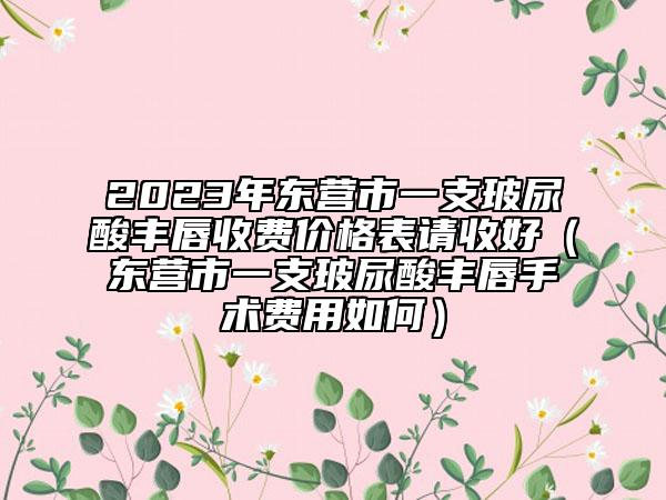 2023年東營(yíng)市一支玻尿酸豐唇收費(fèi)價(jià)格表請(qǐng)收好（東營(yíng)市一支玻尿酸豐唇手術(shù)費(fèi)用如何）