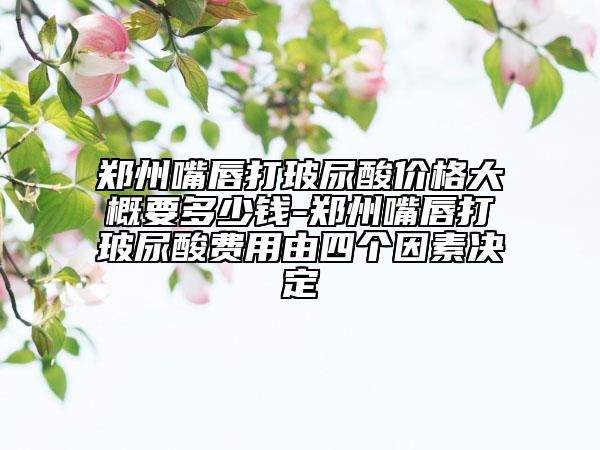鄭州嘴唇打玻尿酸價(jià)格大概要多少錢-鄭州嘴唇打玻尿酸費(fèi)用由四個(gè)因素決定