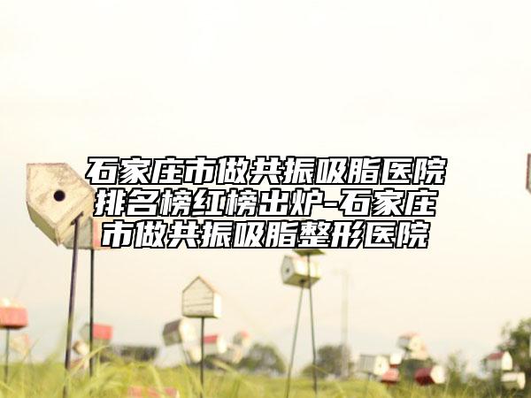 石家莊市做共振吸脂醫(yī)院排名榜紅榜出爐-石家莊市做共振吸脂整形醫(yī)院
