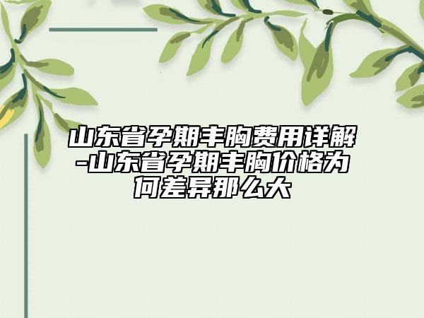 山東省孕期豐胸費用詳解-山東省孕期豐胸價格為何差異那么大