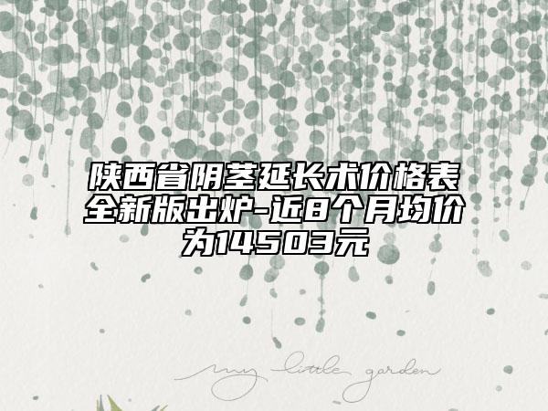 陜西省陰莖延長術(shù)價格表全新版出爐-近8個月均價為14503元
