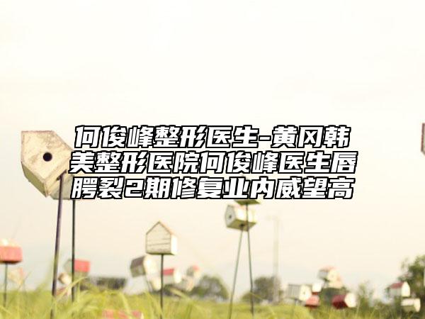 何俊峰整形醫(yī)生-黃岡韓美整形醫(yī)院何俊峰醫(yī)生唇腭裂2期修復(fù)業(yè)內(nèi)威望高