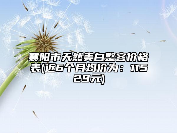 襄陽市天然美白整容價格表(近6個月均價為：11529元)