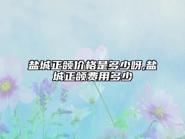 鹽城正頜價格是多少呀,鹽城正頜費用多少