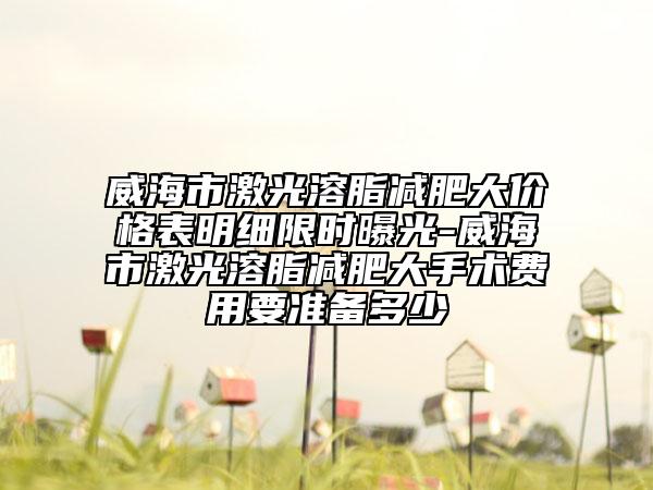 威海市激光溶脂減肥大價格表明細限時曝光-威海市激光溶脂減肥大手術(shù)費用要準備多少