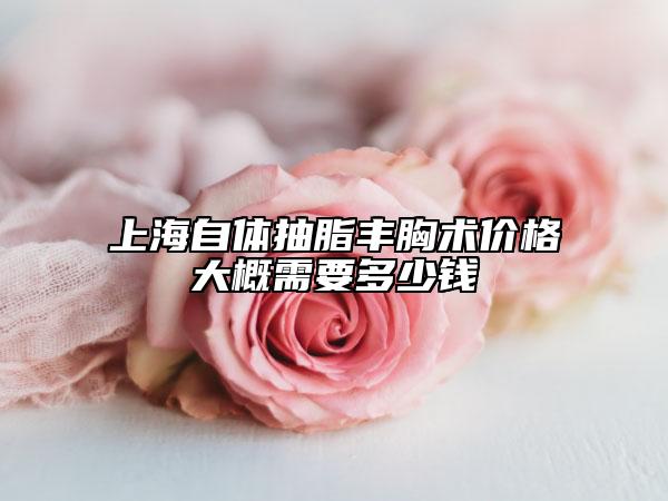 上海自體抽脂豐胸術價格大概需要多少錢
