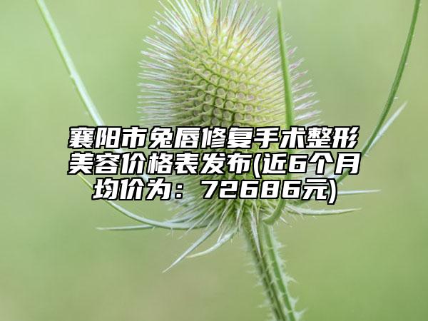 襄陽(yáng)市兔唇修復(fù)手術(shù)整形美容價(jià)格表發(fā)布(近6個(gè)月均價(jià)為：72686元)