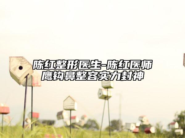 陳紅整形醫(yī)生-陳紅醫(yī)師鷹鉤鼻整容實力封神