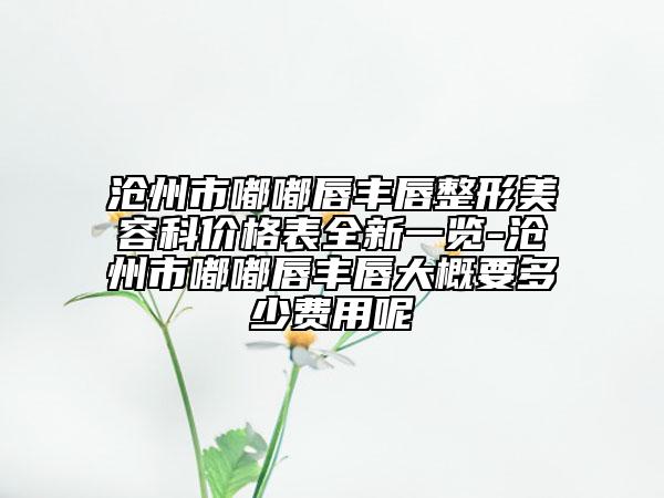 滄州市嘟嘟唇豐唇整形美容科價(jià)格表全新一覽-滄州市嘟嘟唇豐唇大概要多少費(fèi)用呢