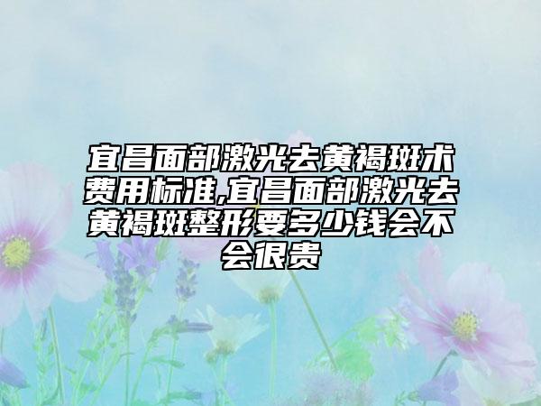 宜昌面部激光去黃褐斑術(shù)費用標(biāo)準(zhǔn),宜昌面部激光去黃褐斑整形要多少錢會不會很貴