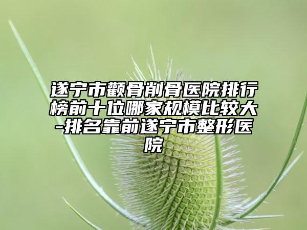 遂寧市顴骨削骨醫(yī)院排行榜前十位哪家規(guī)模比較大-排名靠前遂寧市整形醫(yī)院