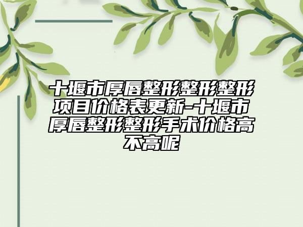 十堰市厚唇整形整形整形項(xiàng)目?jī)r(jià)格表更新-十堰市厚唇整形整形手術(shù)價(jià)格高不高呢
