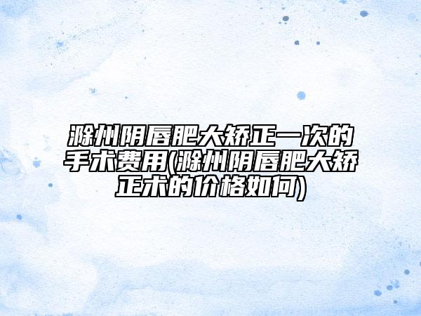 滁州陰唇肥大矯正一次的手術(shù)費(fèi)用(滁州陰唇肥大矯正術(shù)的價(jià)格如何)