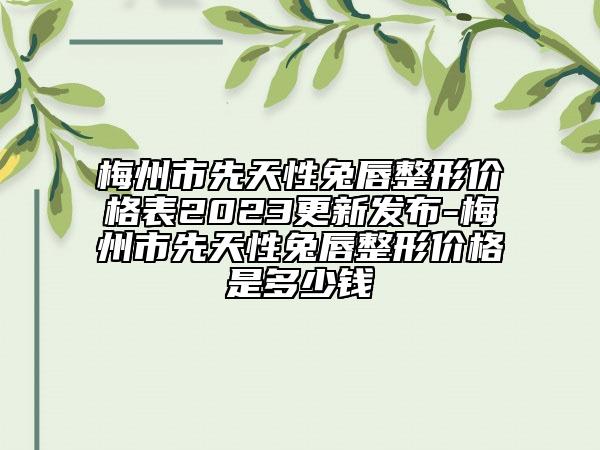 梅州市先天性兔唇整形價(jià)格表2023更新發(fā)布-梅州市先天性兔唇整形價(jià)格是多少錢(qián)