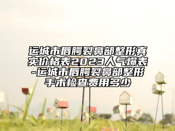 運(yùn)城市唇腭裂鼻部整形真實(shí)價格表2023人氣爆表-運(yùn)城市唇腭裂鼻部整形手術(shù)檢查費(fèi)用多少