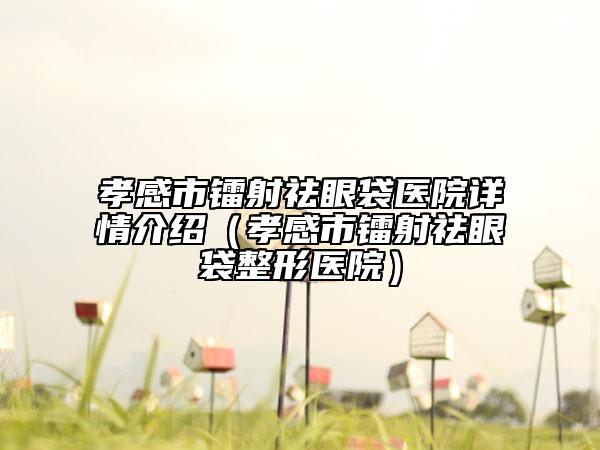 孝感市鐳射祛眼袋醫(yī)院詳情介紹（孝感市鐳射祛眼袋整形醫(yī)院）